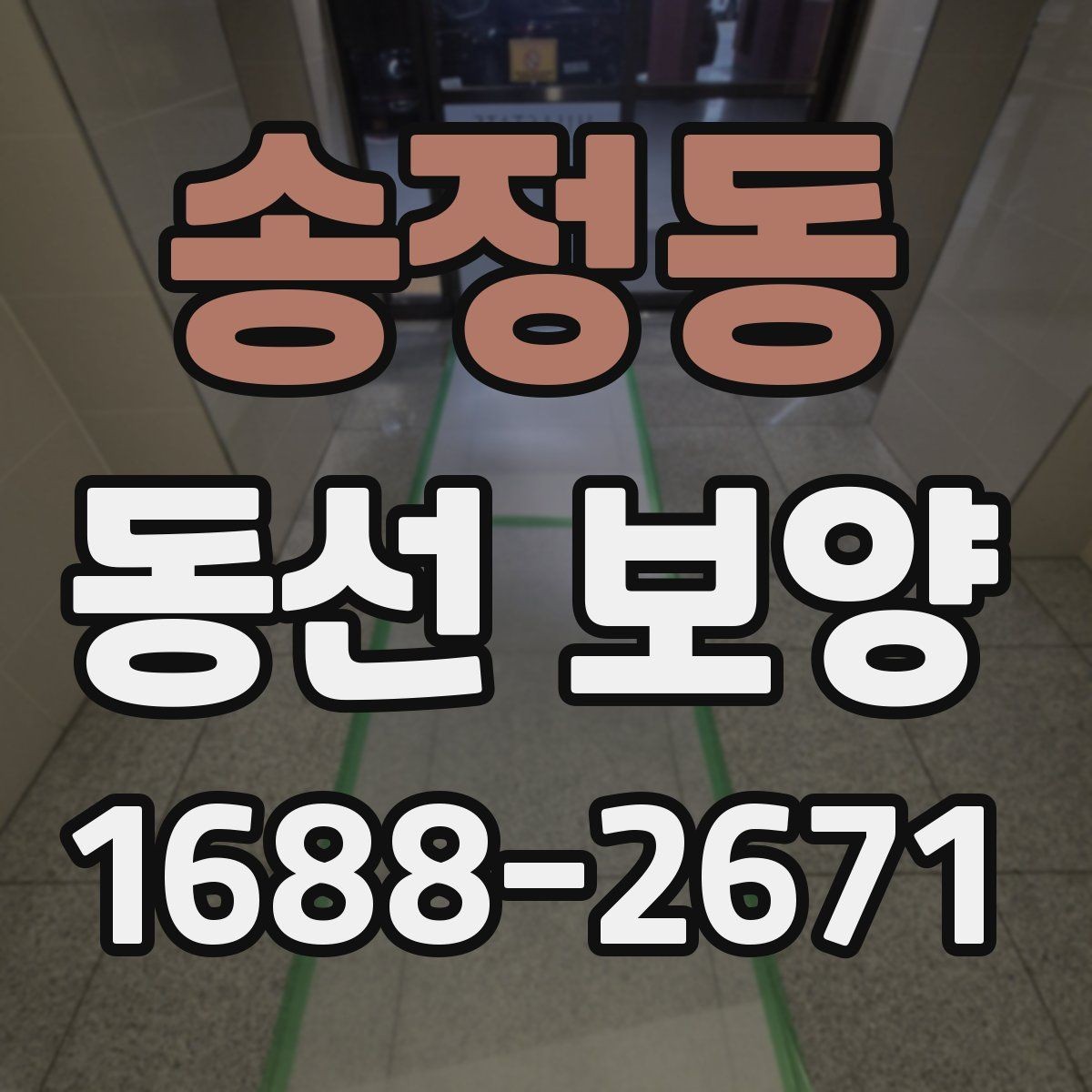 송정동 동선 보양 비용은 무엇에 따라 달라질까