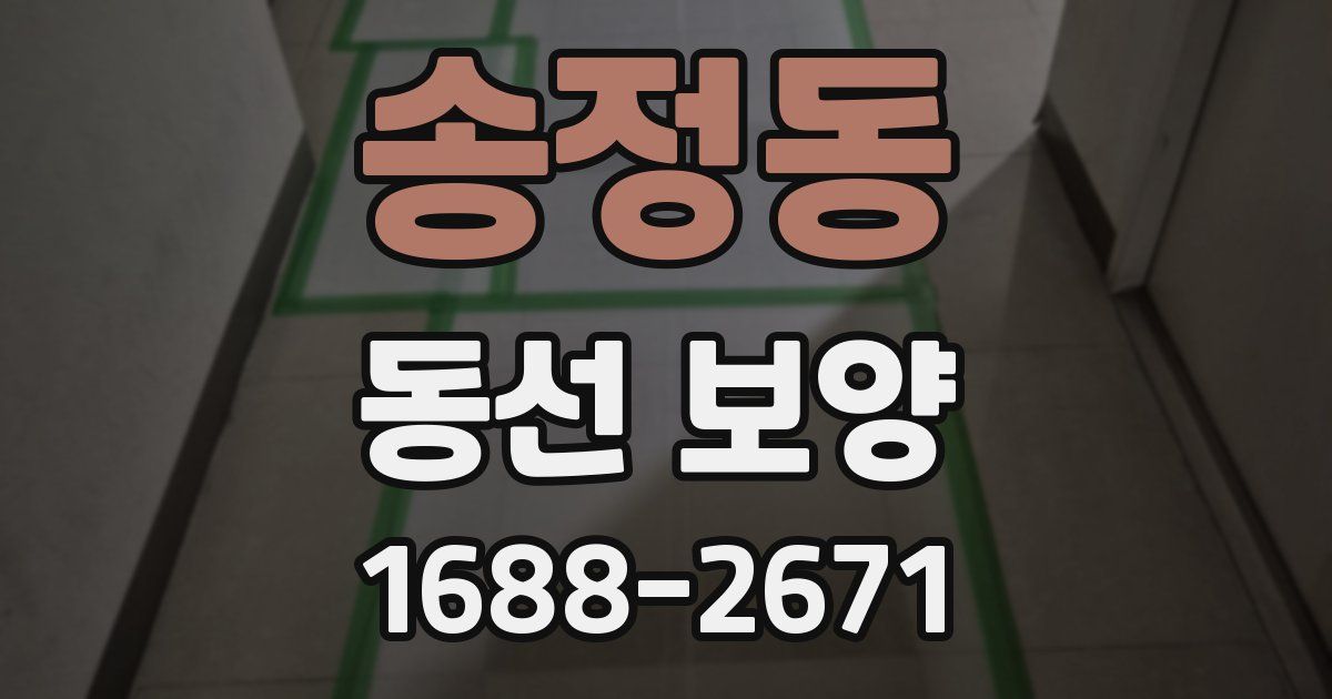 송정동 동선 보양