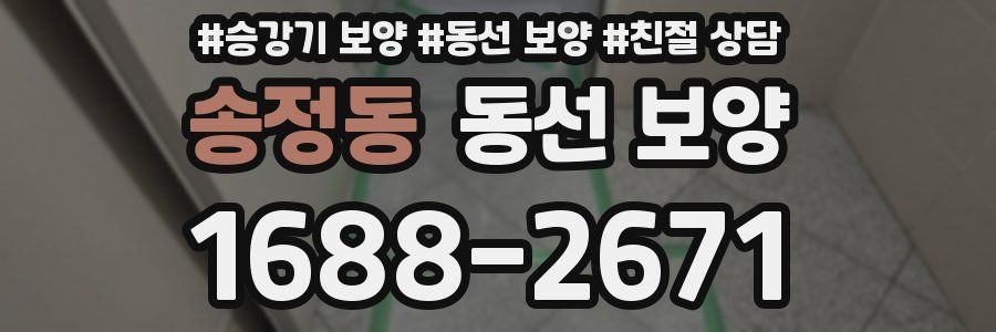 송정동 동선 보양
