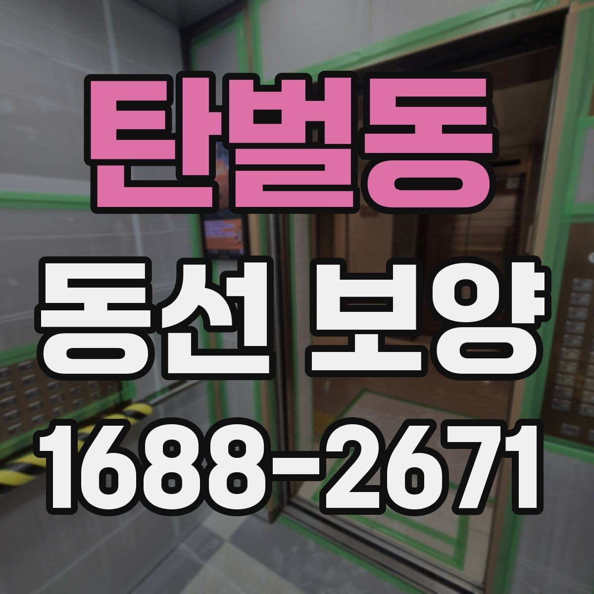 탄벌동 동선 보양 준비가 잘된 현장의 특징