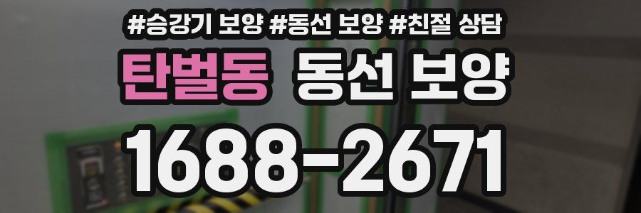 탄벌동 동선 보양