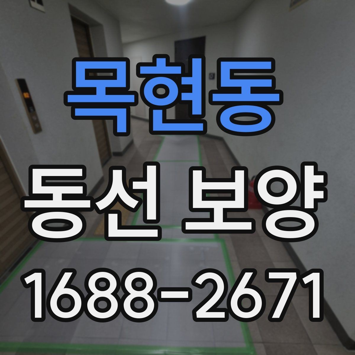목현동 동선 보양 현장 대응을 위한 실무 팁