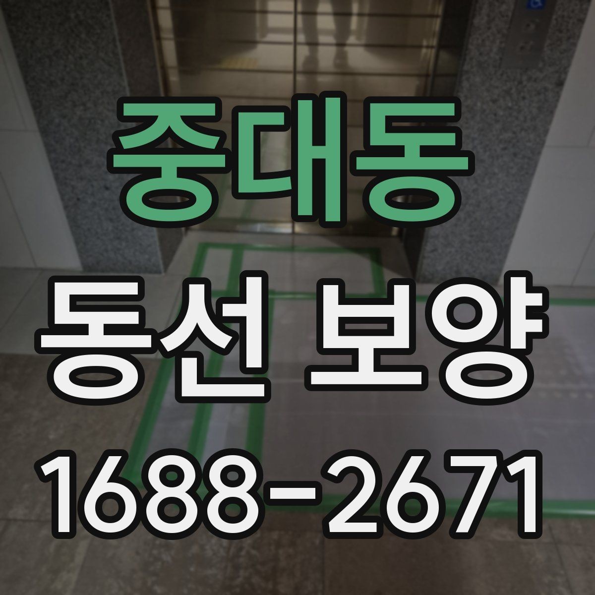 중대동 동선 보양 진행 과정에서 반복되는 실수