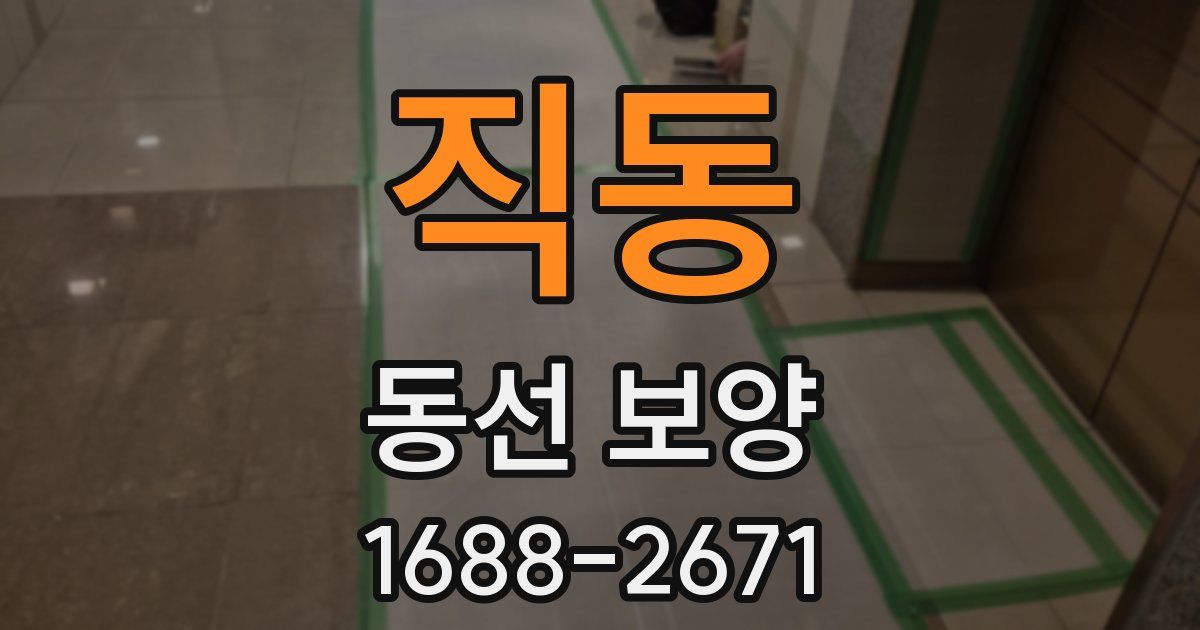 직동 동선 보양