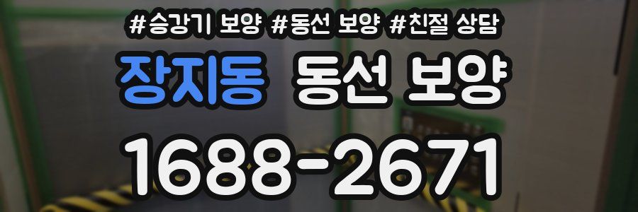 장지동 동선 보양