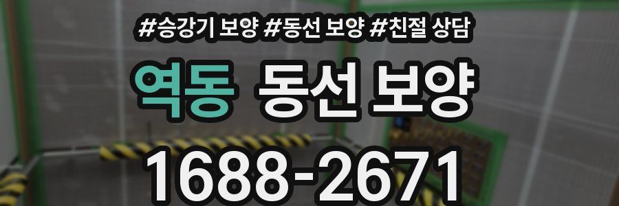 역동 동선 보양