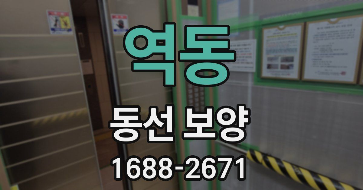 역동 동선 보양