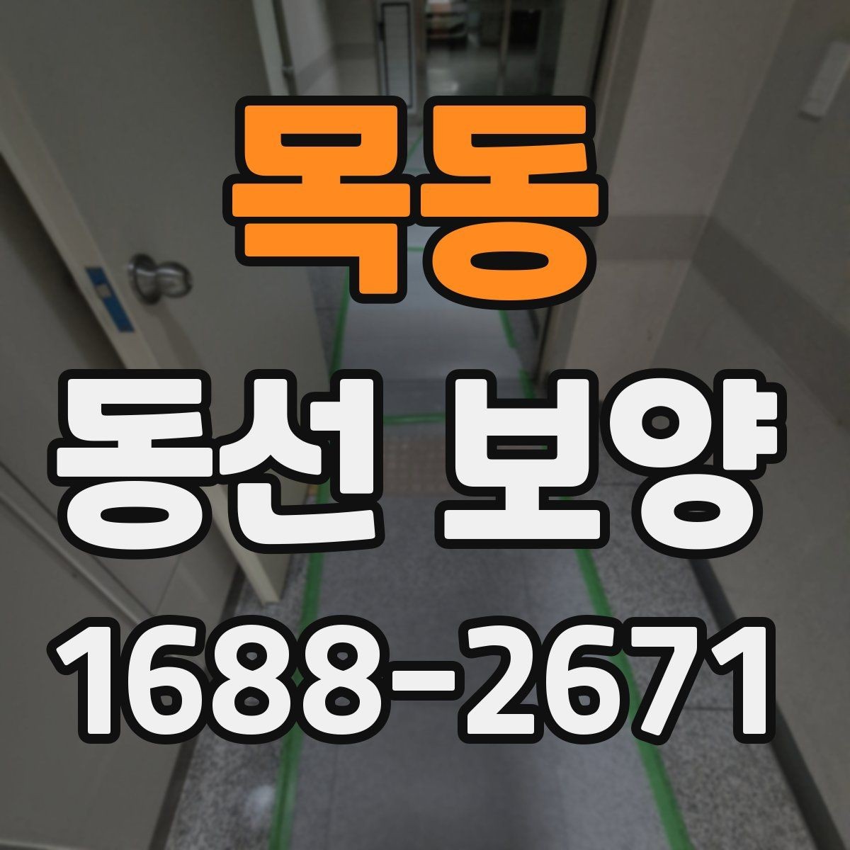 목동 동선 보양 현장에서 주의할 점 모음