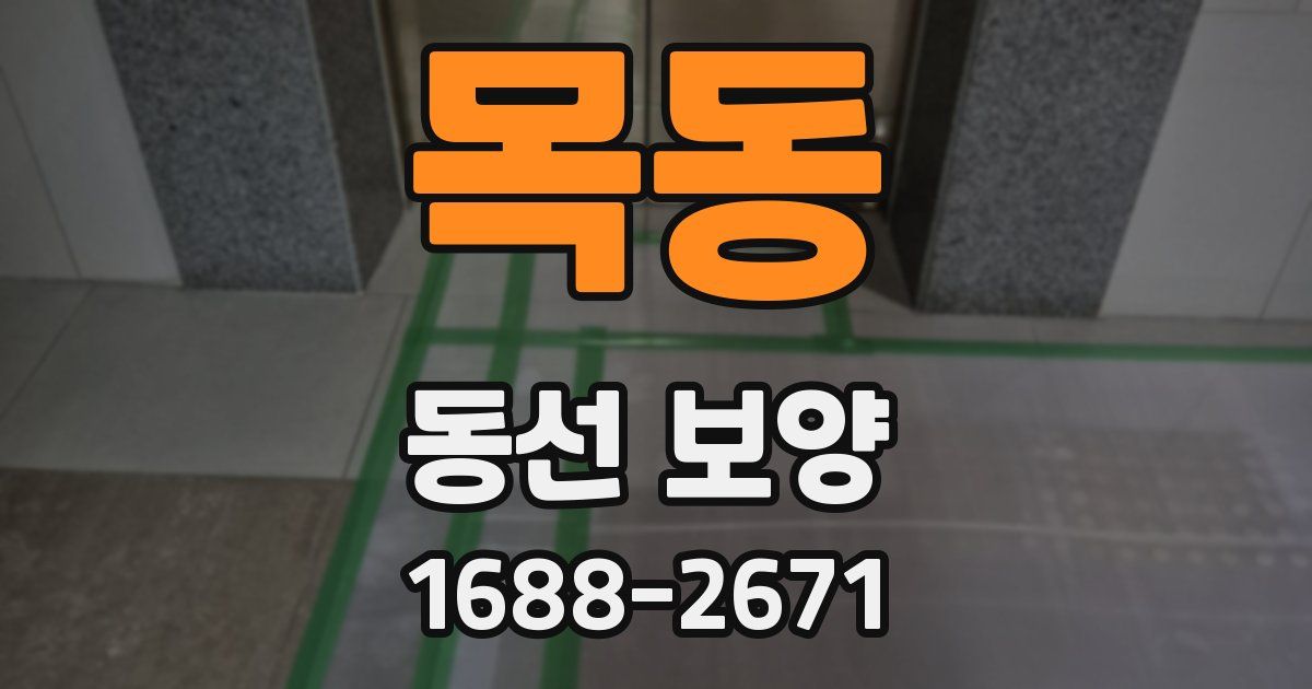 목동 동선 보양