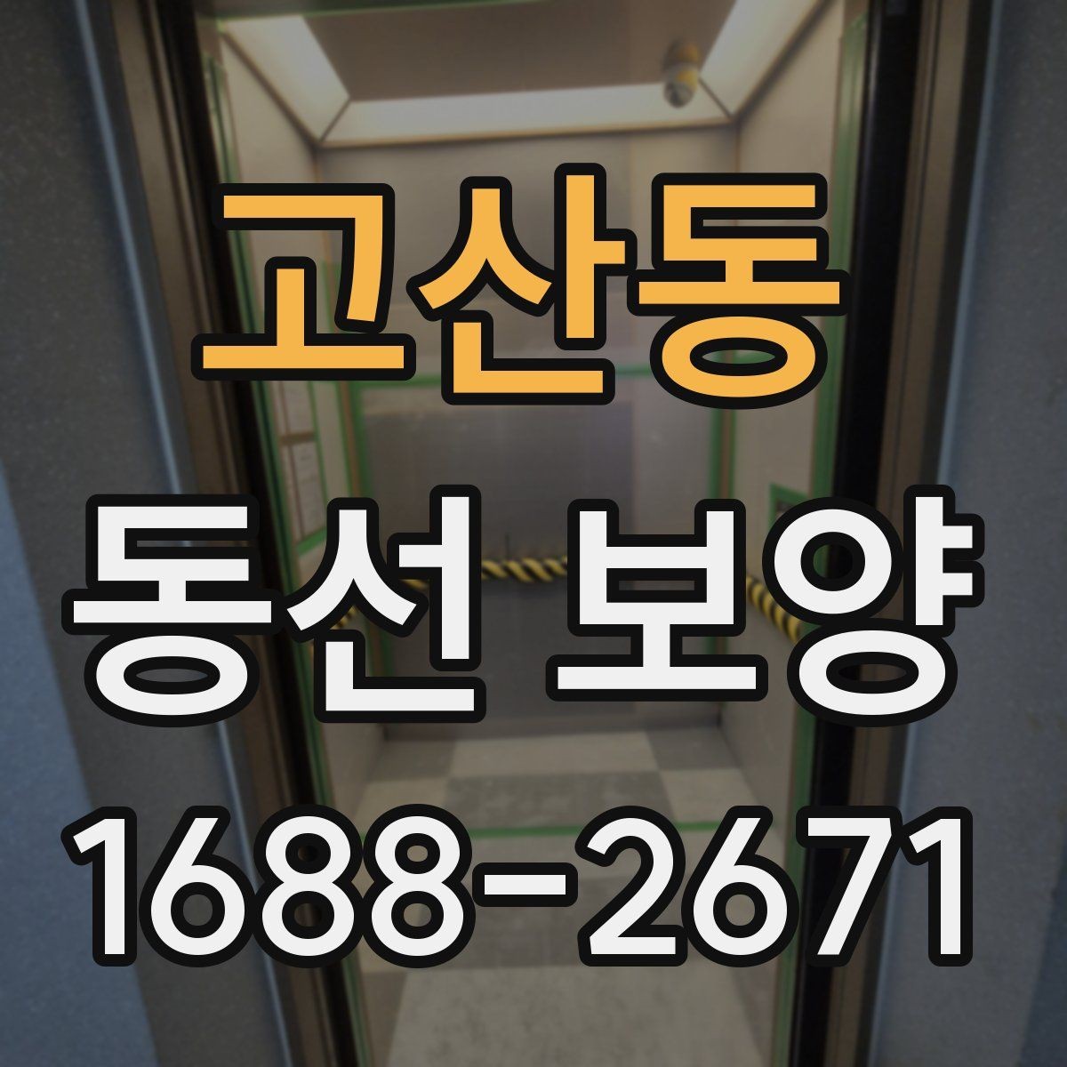 고산동 동선 보양 작업의 완성도를 높이는 관리법