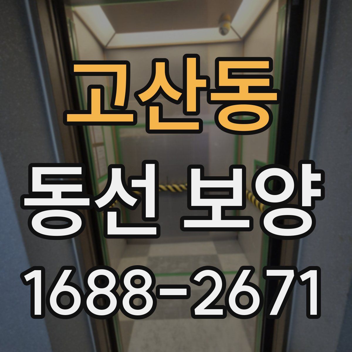 고산동 동선 보양