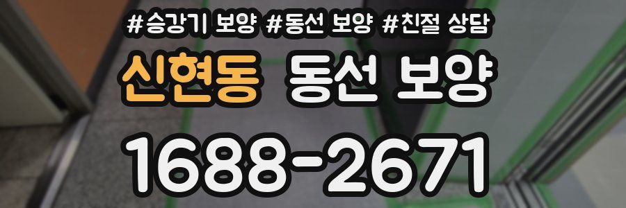 신현동 동선 보양