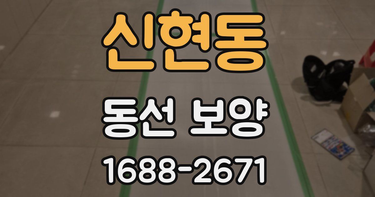 신현동 동선 보양