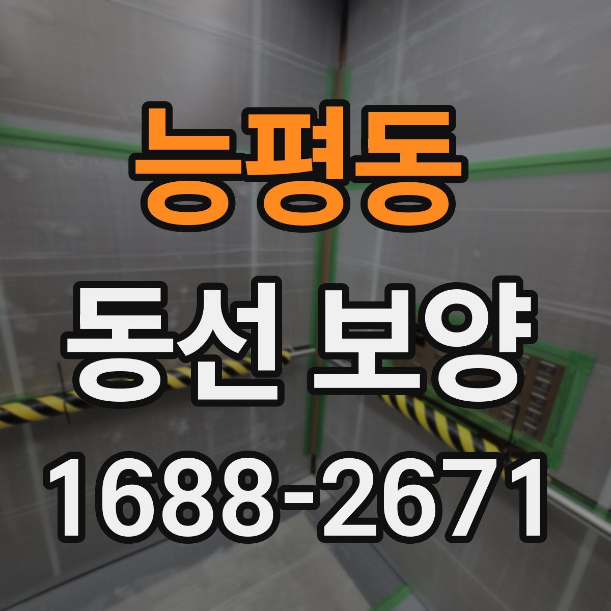 능평동 동선 보양
