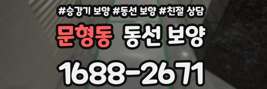 문형동 동선 보양