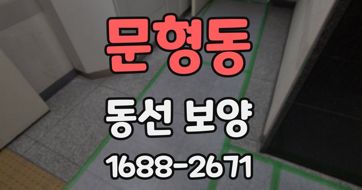 문형동 동선 보양