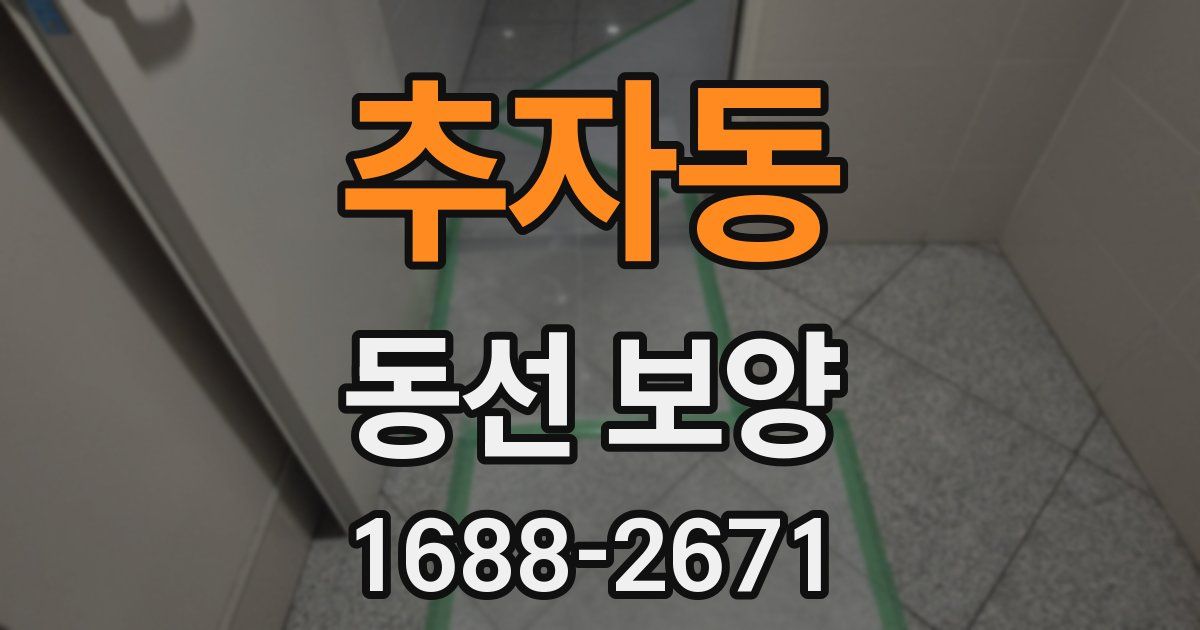 추자동 동선 보양