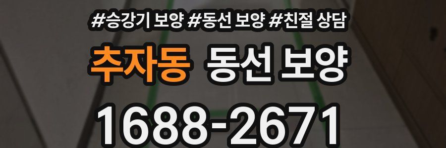 추자동 동선 보양