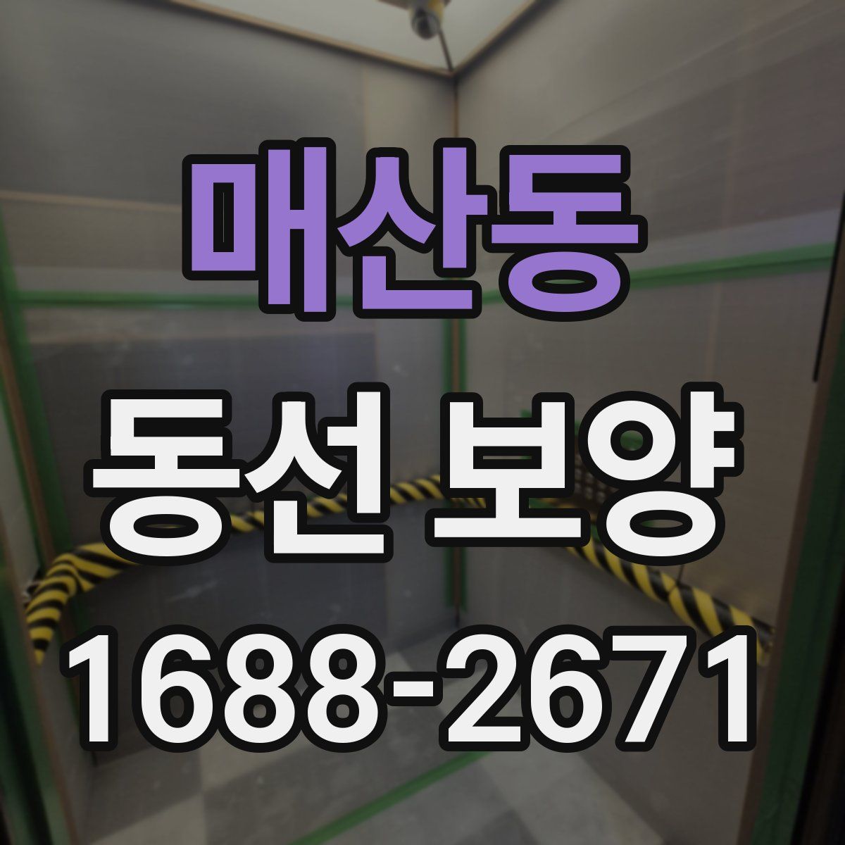 매산동 동선 보양