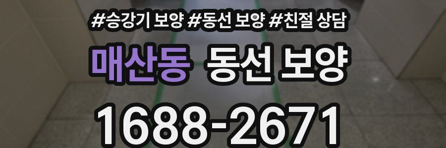 매산동 동선 보양
