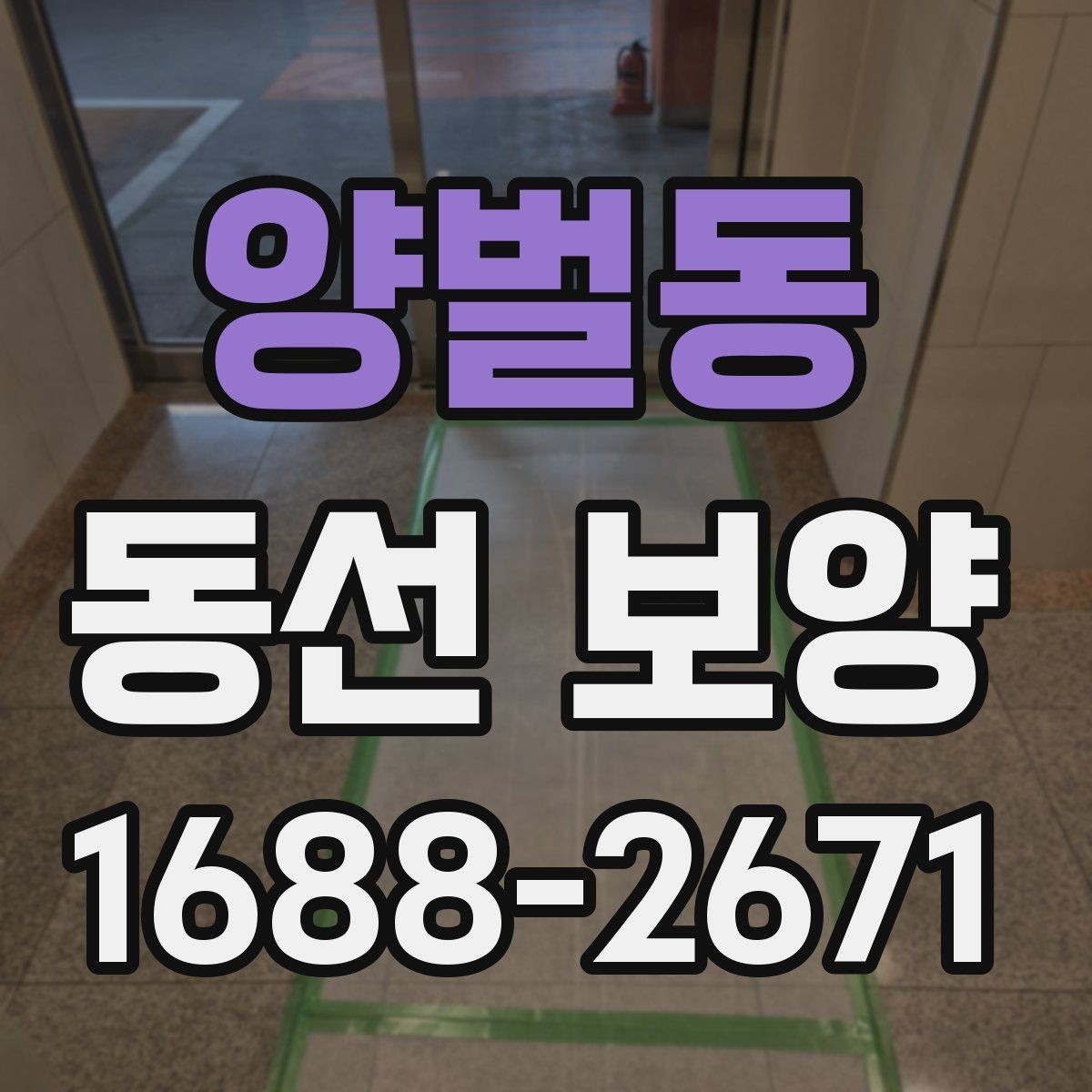 양벌동 동선 보양 자재 비용과 품질의 관계