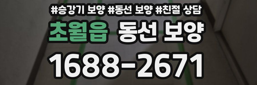 초월읍 동선 보양