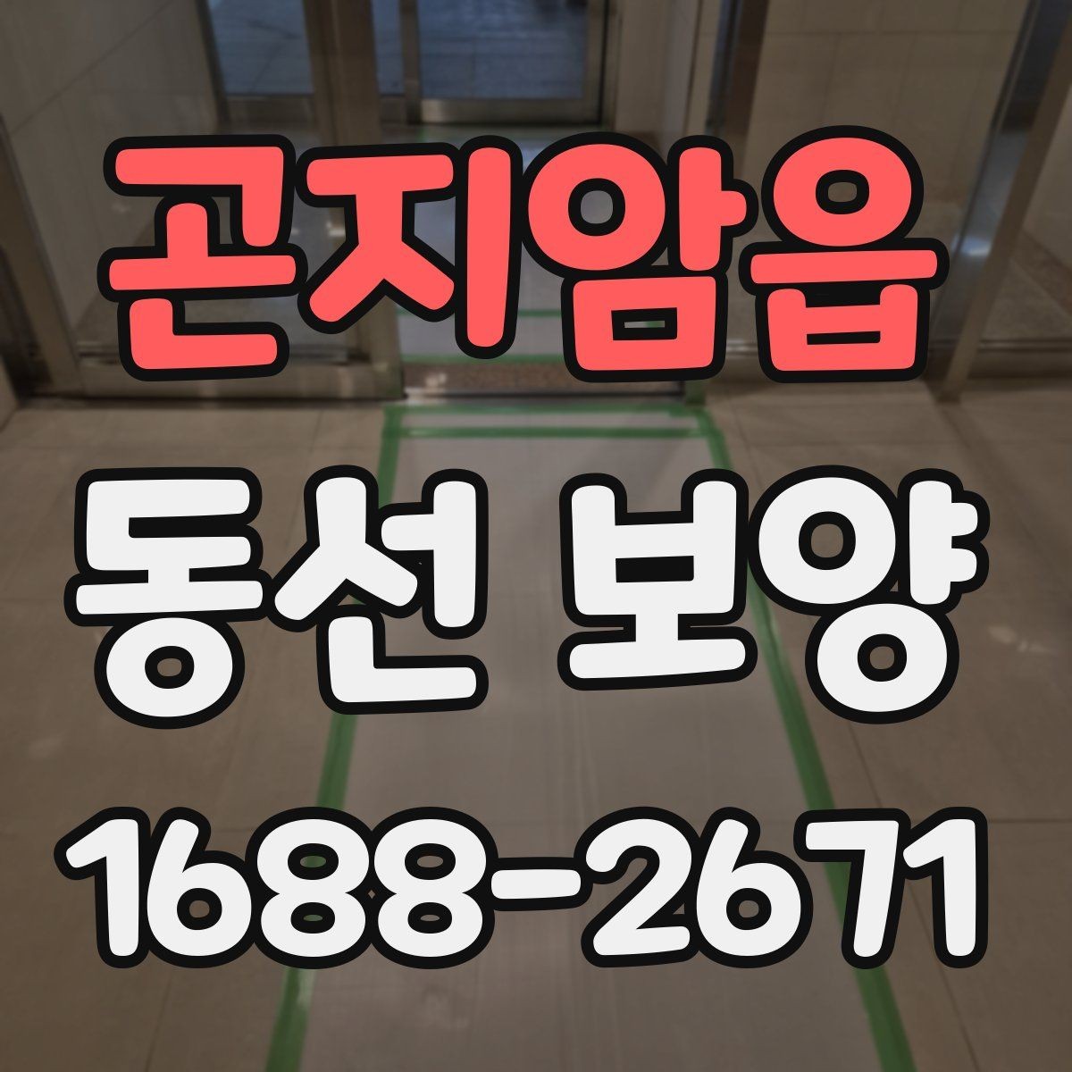 곤지암읍 동선 보양 현장별 적용 사례와 특징