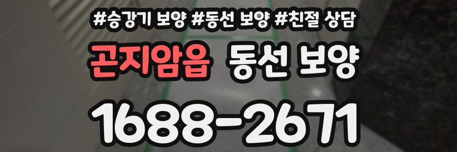 곤지암읍 동선 보양