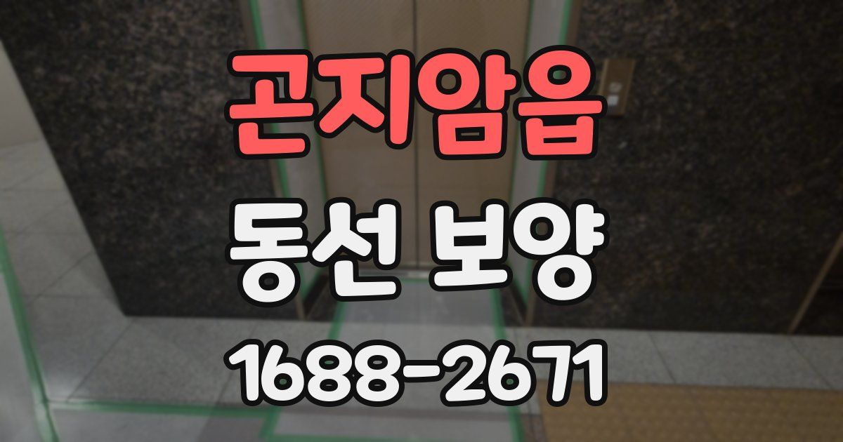 곤지암읍 동선 보양