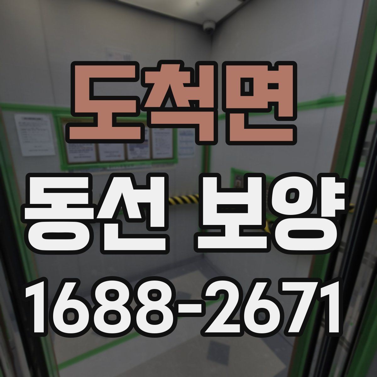 도척면 동선 보양 시 주의해야 할 안전과 동선 관리