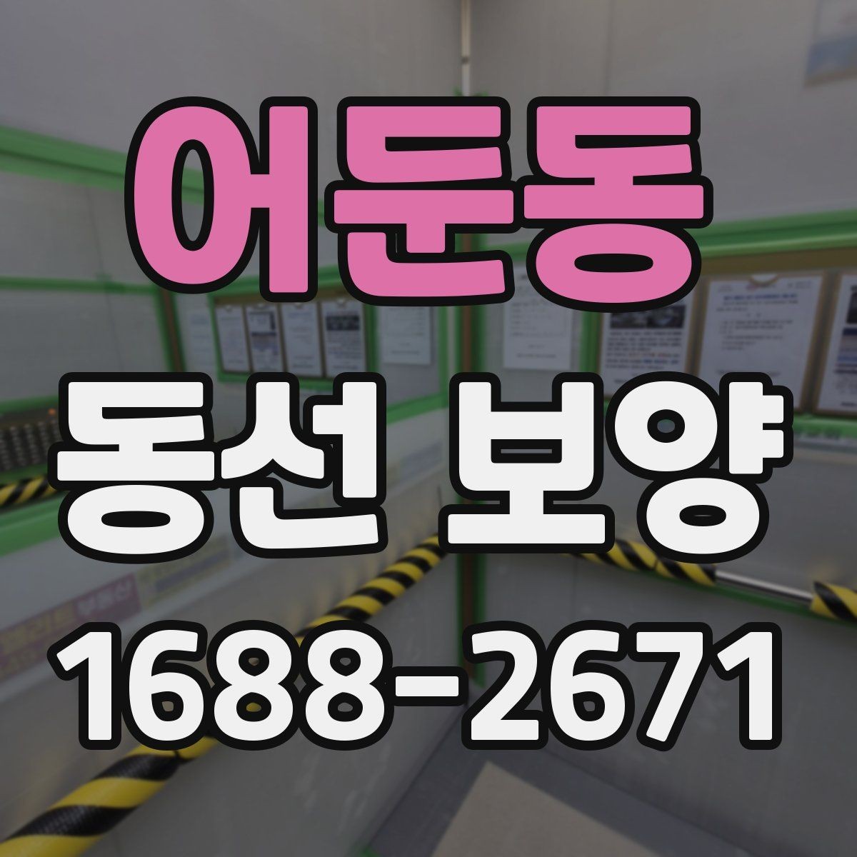 어둔동 동선 보양 과정에서 발생할 수 있는 문제