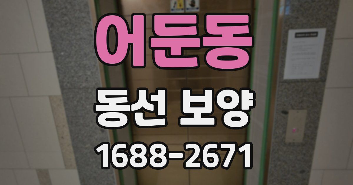어둔동 동선 보양