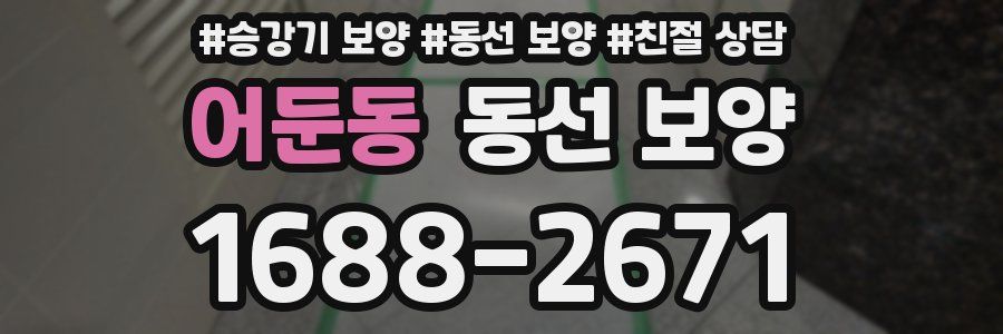 어둔동 동선 보양