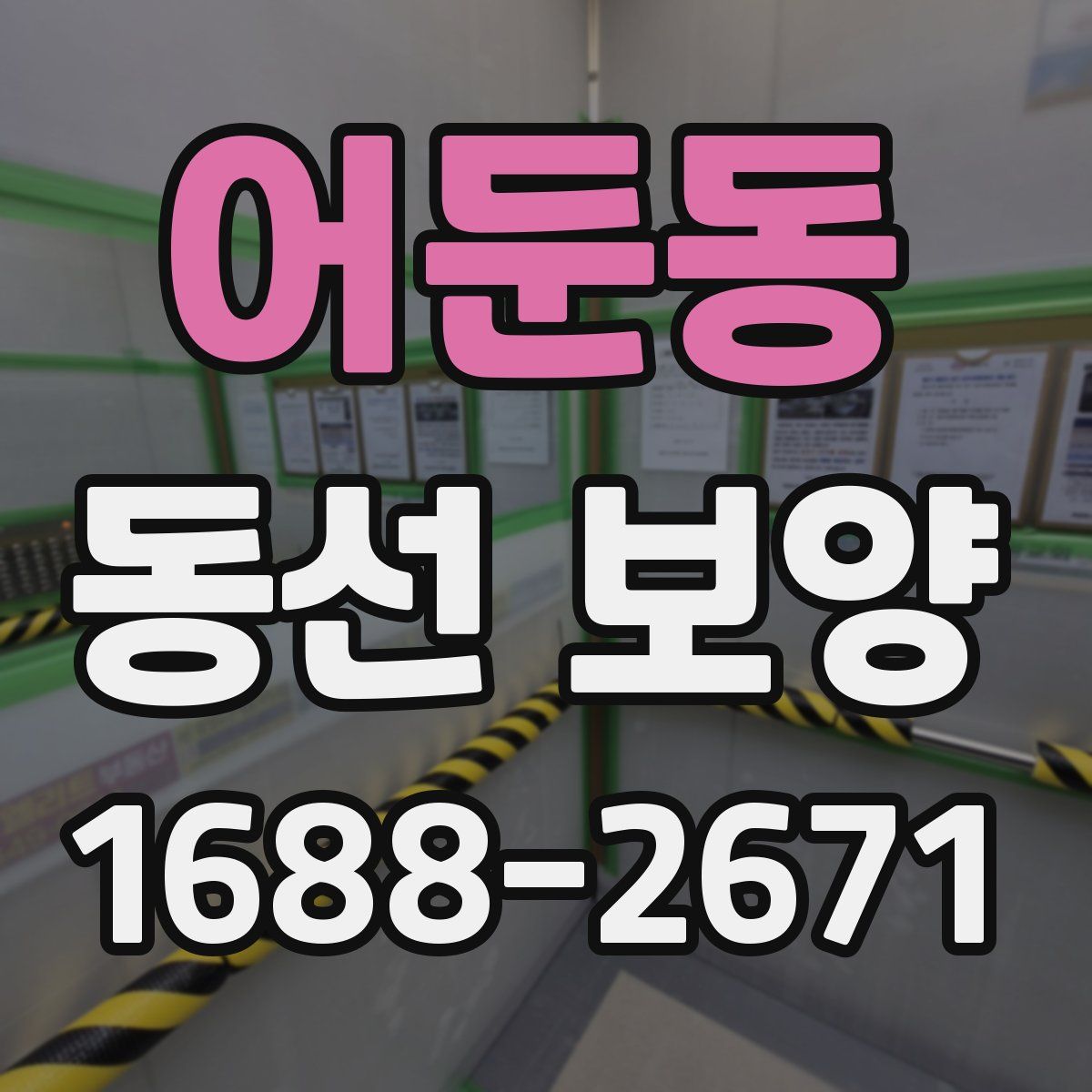 어둔동 동선 보양