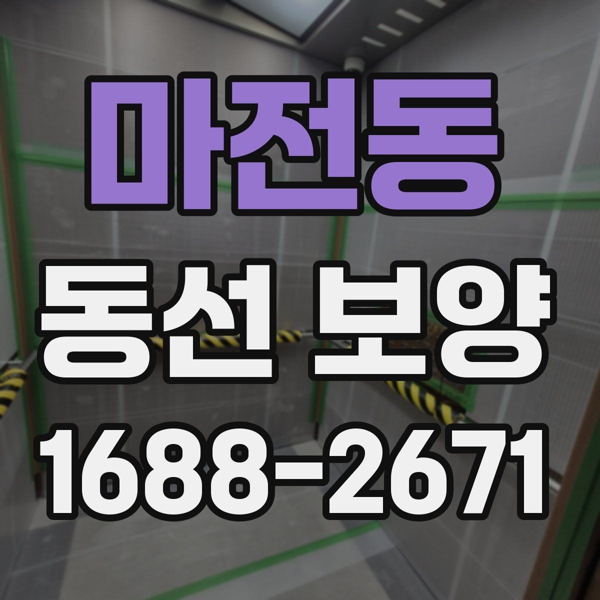 마전동 동선 보양 현장에서는 어떤 점을 먼저 볼까
