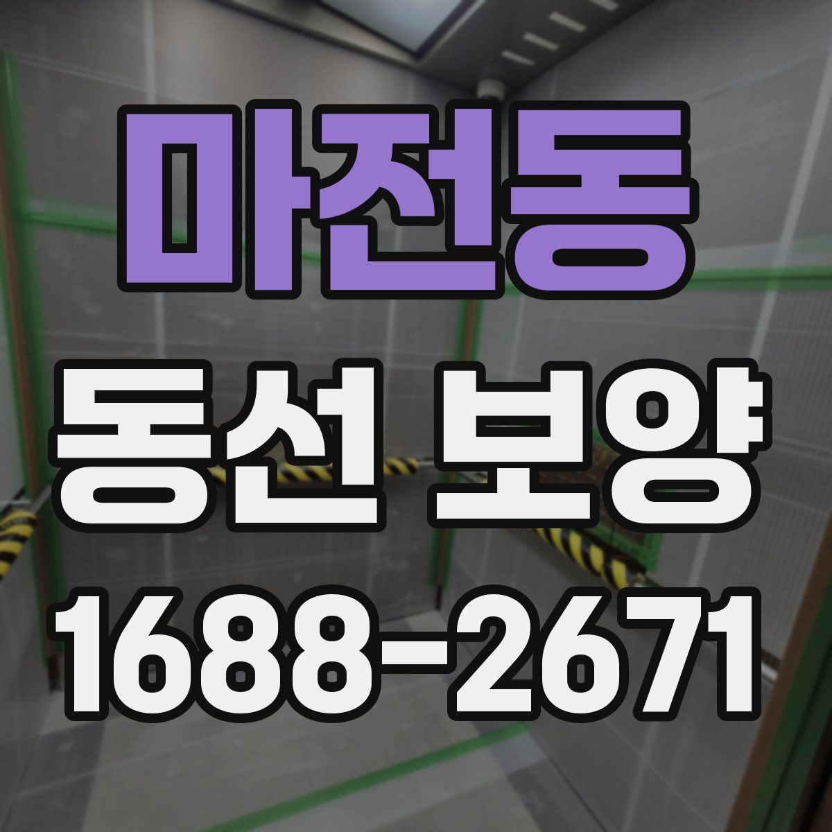 마전동 동선 보양