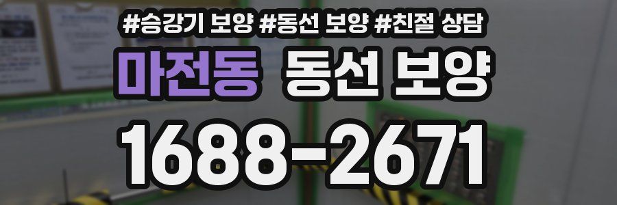 마전동 동선 보양
