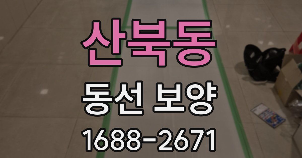 산북동 동선 보양