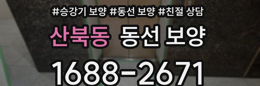 산북동 동선 보양