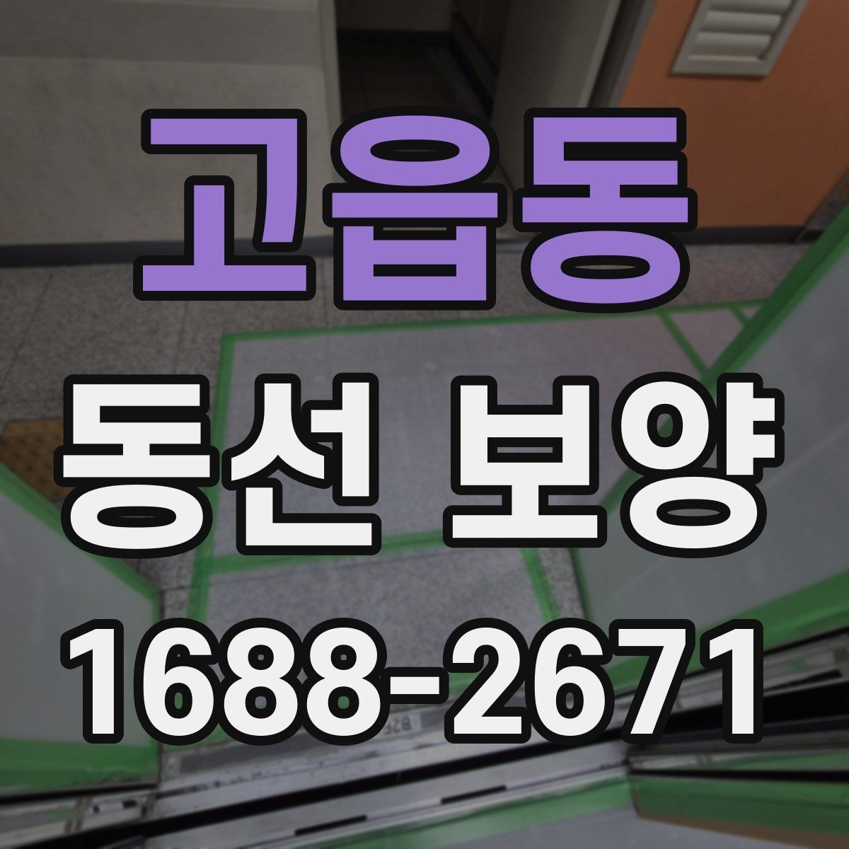 고읍동 동선 보양 작업이 잘 되는 현장 관리 요령