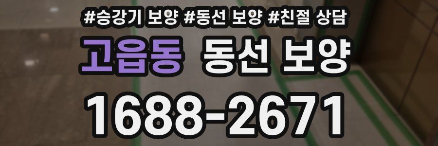 고읍동 동선 보양
