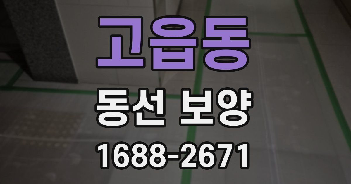 고읍동 동선 보양