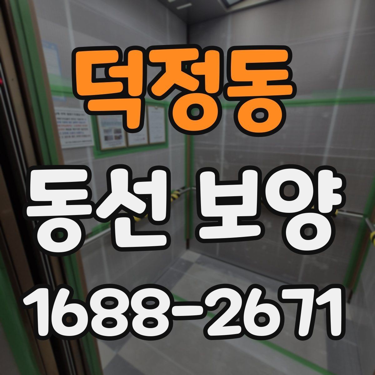 덕정동 동선 보양 과정에서 발생할 수 있는 문제