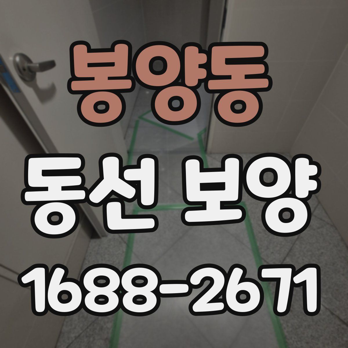 봉양동 동선 보양