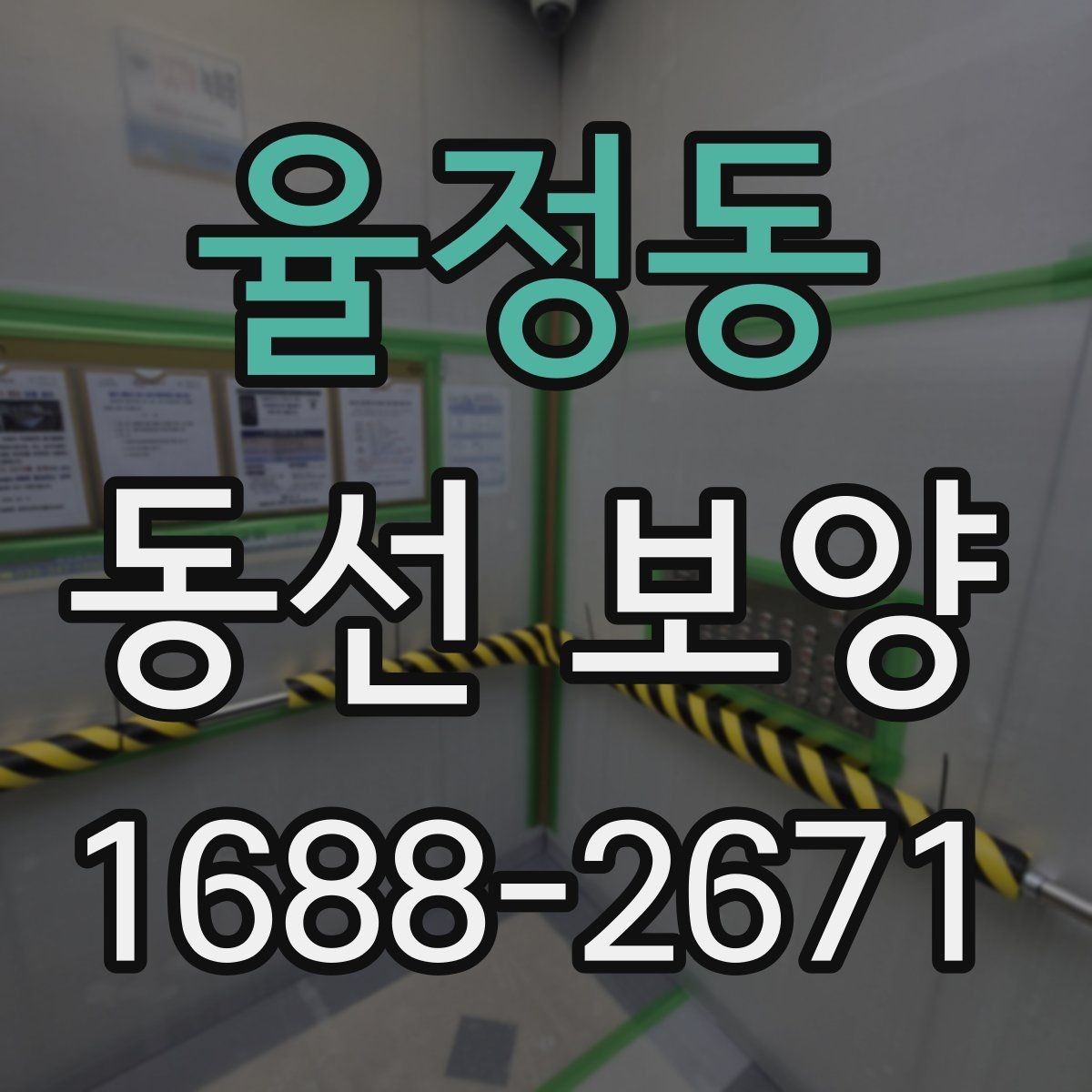 율정동 동선 보양 작업 후 손상 예방을 위한 관리법