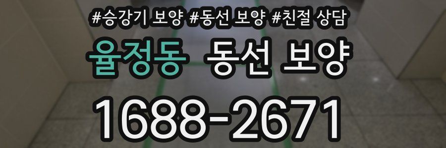 율정동 동선 보양