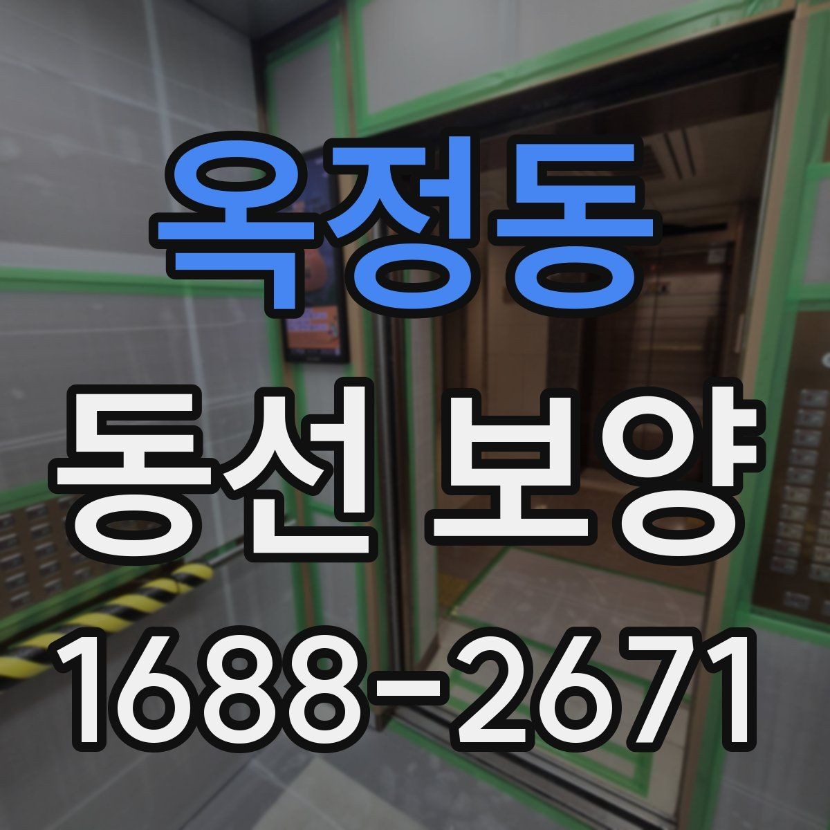 옥정동 동선 보양 현장별로 달라지는 작업 포인트