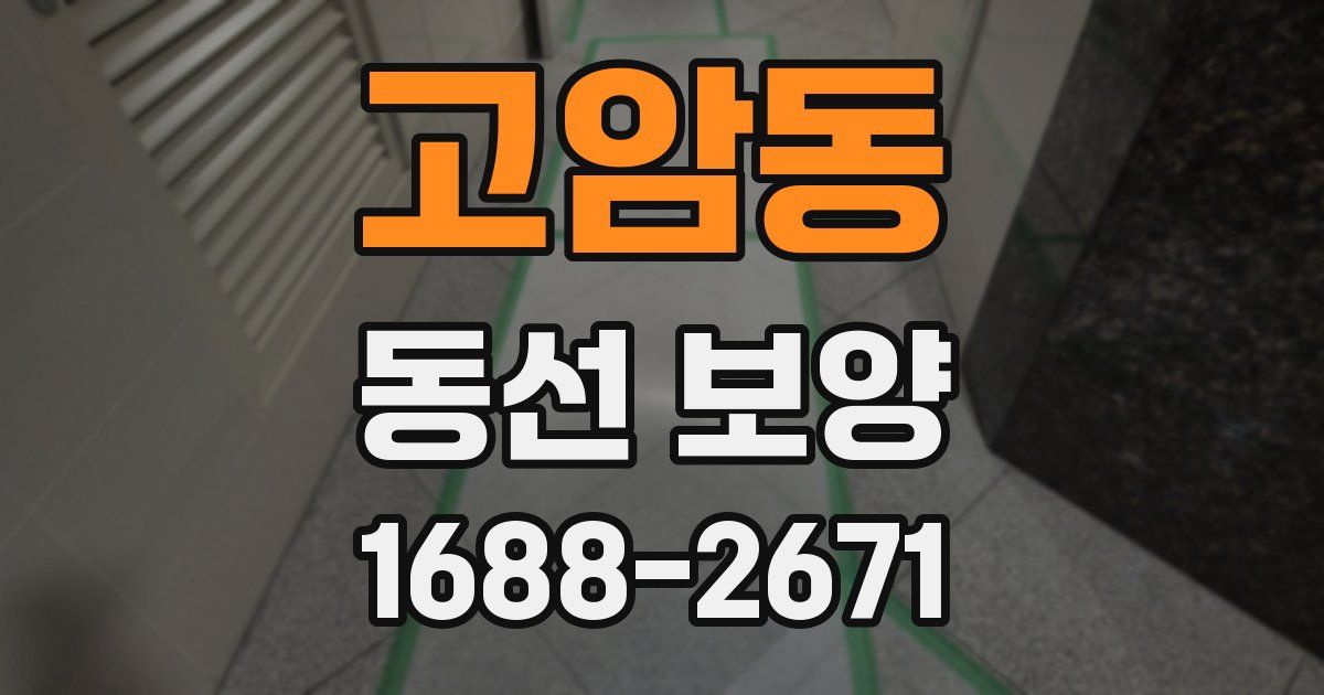 고암동 동선 보양