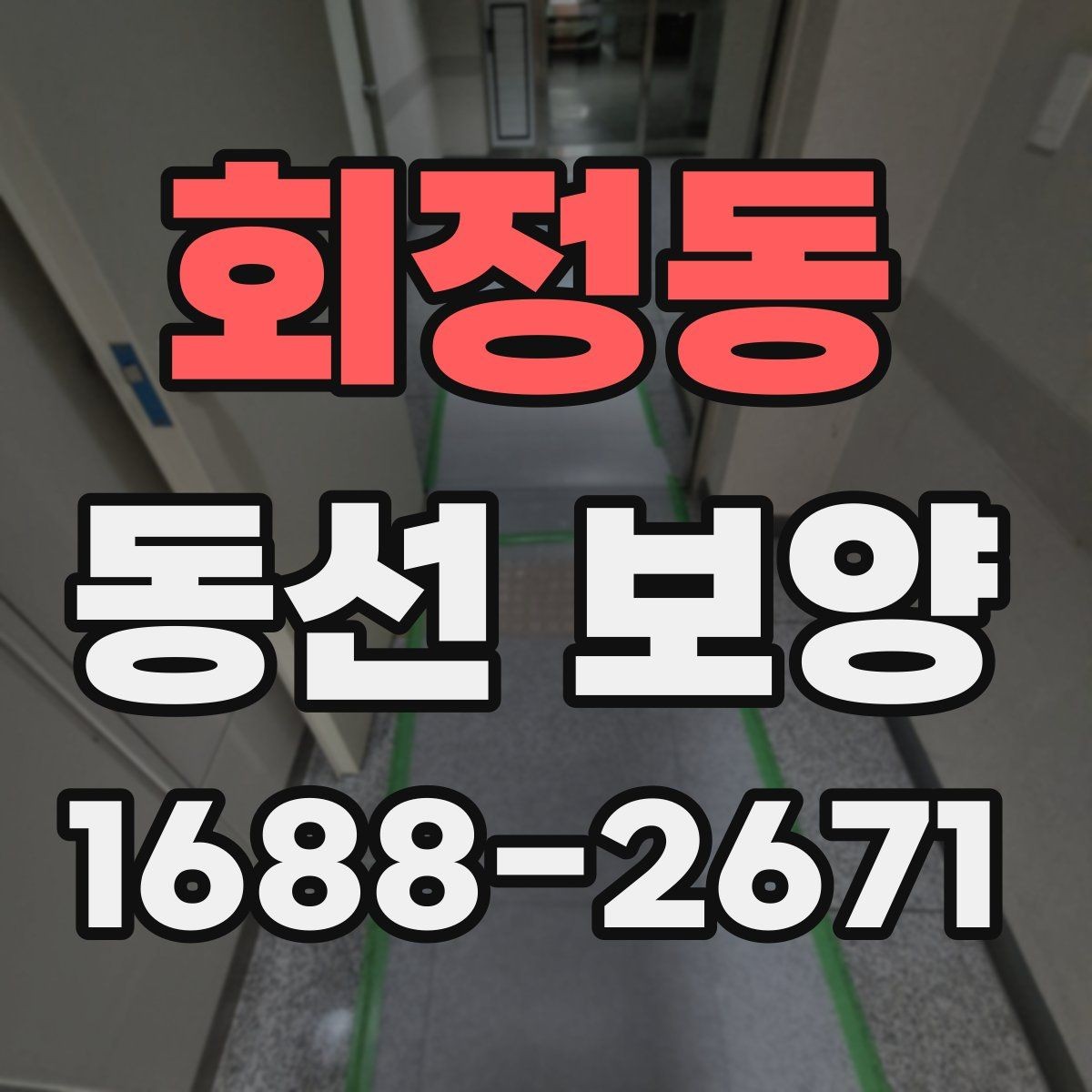회정동 동선 보양 후 유지 관리를 고려한 선택