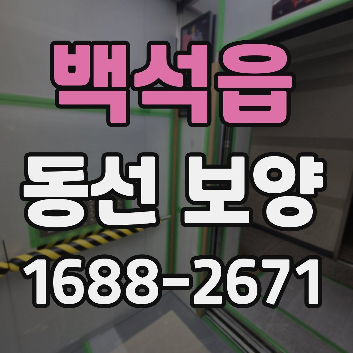 백석읍 동선 보양 일정이 꼬이지 않도록 조율하는 법
